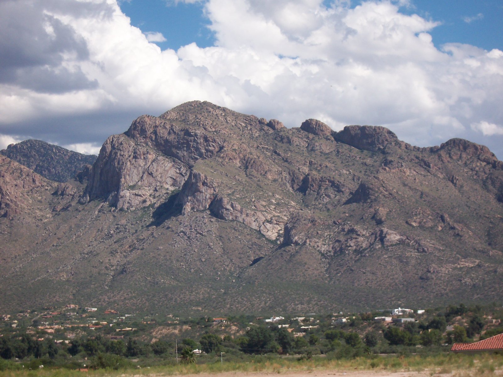 Experts Serving Oro Valley