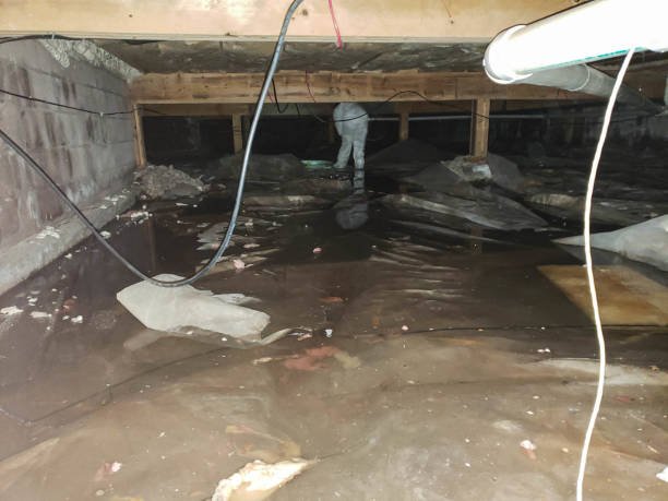 A flooded basement filled with standing water and debris, highlighting the need for water damage restoration services.