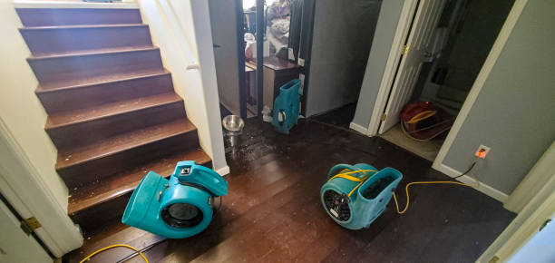 Professionals conducting water damage restoration in Maryland, highlighting tools and techniques for effective recovery.

