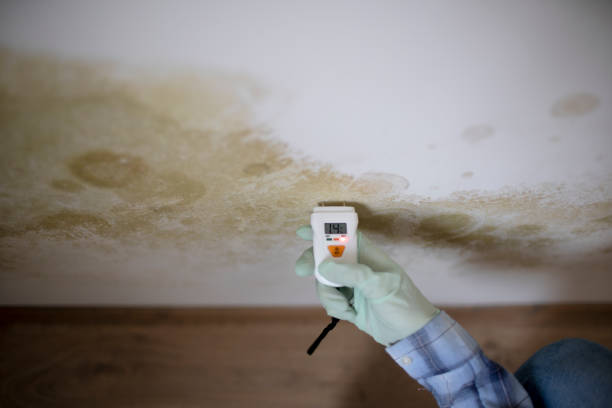 Professionals detecting water damage restoration in Maryland, highlighting tools and techniques for effective recovery.