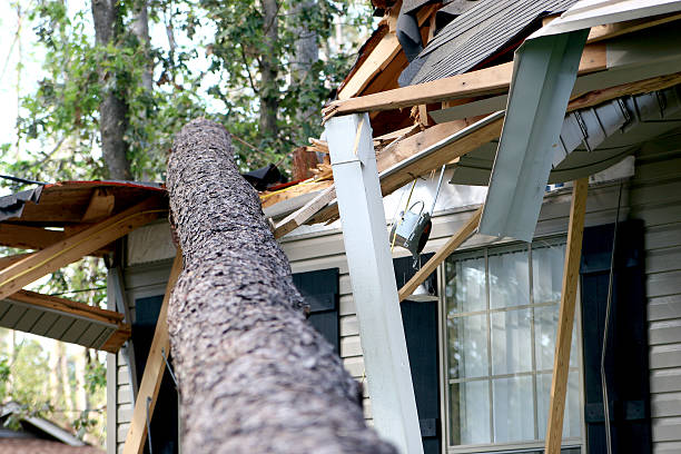 Two images show men repairing a roof alongside a blue air conditioner, highlighting Restoration Services Protect.
