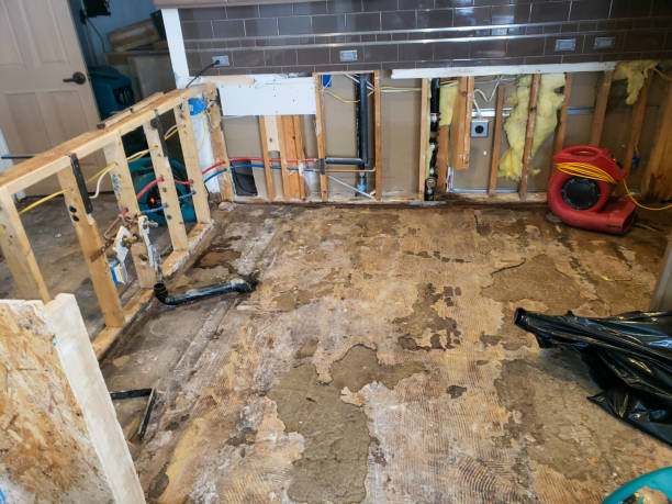 Basement inundated with water and debris, emphasizing the necessity for professional water damage restoration assistance.