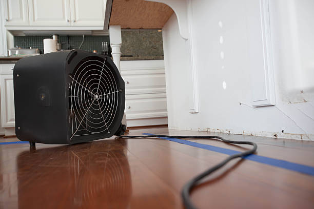 A black air mover located on the floor, utilized in water damage restoration processes.