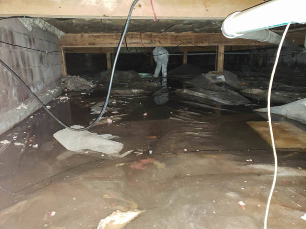 A flooded basement filled with water and debris, indicating a need for water remediation efforts.