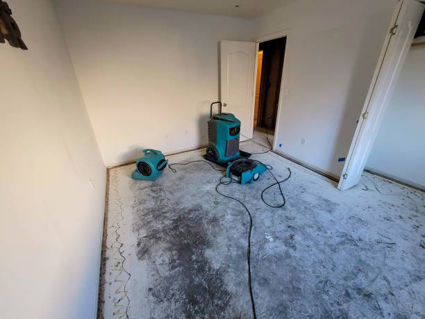 A blue air mover positioned on the floor, used for water damage restoration efforts.
